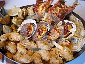Seafood Platter