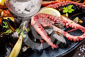 Seafood platter for 2-4 persons. Lobster, octopus, blue mussels, Argentina king prawns, tuna tartare. Delicious healthy