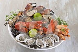 Seafood platter with oyste and shrimp