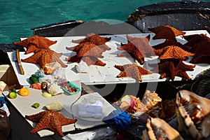 Sefood in in the Port of Nassau