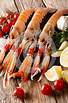 Seafood raw food: scampi or langoustine with vegetables, herbs a