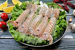 Seafood raw mantis shrimp, or sea cicadas