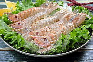 Seafood raw mantis shrimp, or sea cicadas