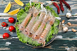 Seafood raw mantis shrimp, or sea cicadas