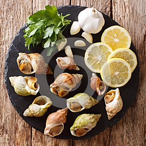 Seafood: raw whelk, sea snails bulot with a garlic and parsley,