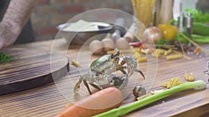 Seafood restaurant. Live crab on kitchen table in seafood restaurant. Chef cook preparing food from fresh crab. Fresh