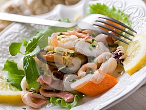 Seafood salad