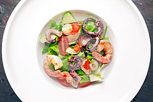 Seafood salad. Italian restaurant. Menu. Free space