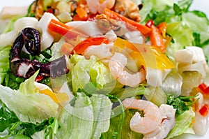 Seafood salad with vegetables and lettuce on white plate. Mediterranean delicacy diet food