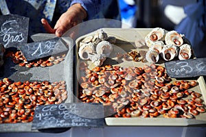 Seafood for sale on the market bench, Le Vieux Port, Marseille, France