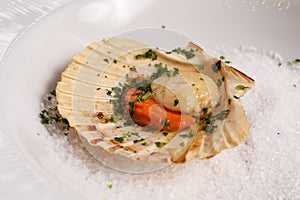 Seafood served on a Molluscan shell and rice