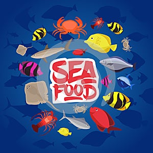 Seafood set design flat fish, crab and lobster. Vector illustration