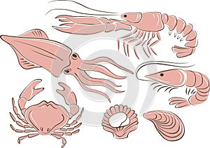 Seafood set. Prawns crab lobster shellfish shrimps. Outline vector sketch drawing