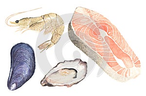 Seafood. Set of watercolor oyster, mussel, salmon