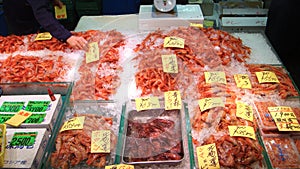 Seafood shop in tsukiji market