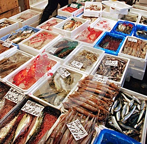 Seafood shop in tsukiji market