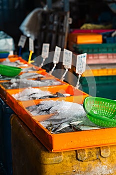seafood in shredded ice in the yellow containers for sale at the fish market