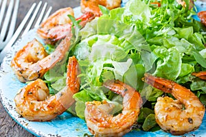 Seafood shrimp lettuce salad on blue plate