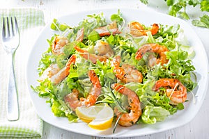 Seafood shrimp lettuce salad on white plate