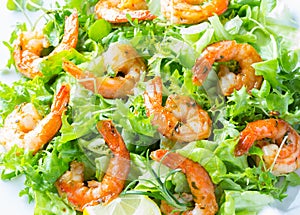 Seafood shrimp lettuce salad on white plate