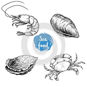 Seafood sketches set. Fresh shrimp, closed mussel and oyster, crab. Sea market products collection. Vector illustration