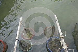 Seafood in small package Ham Ninh fishing village, nice sea/beach in Phu Quoc