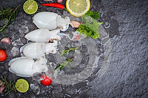 Seafood squid on ice for cooking food in the restaurant, Fresh raw octopus cuttlefish ocean gourmet with lemon and rosemary on