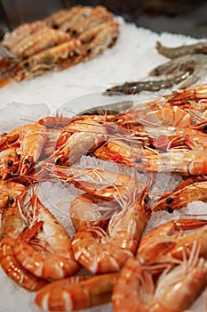 Seafood stall in the fishmonger