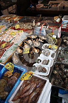 Seafood at Tsukiji fish market Tokyo