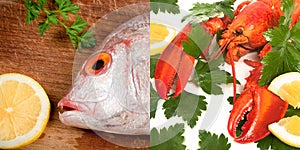 Seafood, two images of fish and lobster