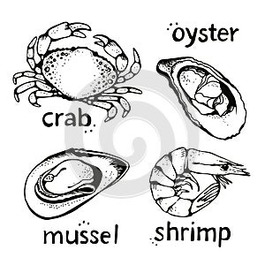 Seafood vector illustrations set, hand drawn sea food sketch collection - crab, oyster, mussel, shrimp