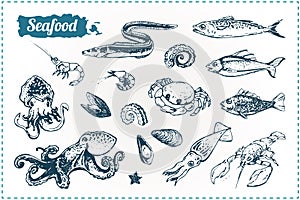 Seafood vector sketches set. Vector illustrations