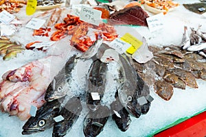 Seafoods on fish shop display
