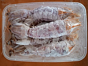 Seafoods Frozen