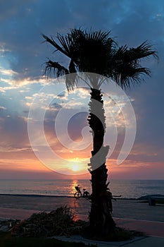 Seafront of Batumi with palm tree silhouette