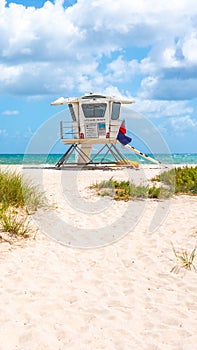 Seafront beach promenade with palm trees on a sunny day in Fort Lauderdale