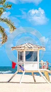 Seafront beach promenade with palm trees on a sunny day in Fort Lauderdale