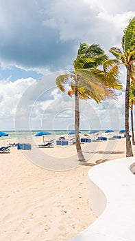 Seafront beach promenade with palm trees on a sunny day in Fort Lauderdale