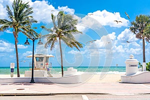 Seafront beach promenade with palm trees on a sunny day in Fort Lauderdale wih seagulls