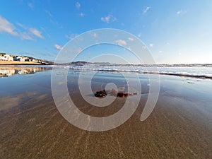 Seafront Reflections at Lyme Regis January 2024