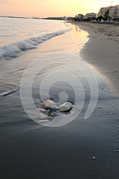 Seafront, Sunset & Beach