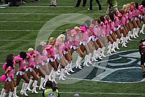Seagals show their support