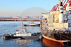 Seagoing vessels, tugboats at the port under cargo operations and underway in the port of Huludao, China, November, 2020.