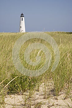 Seagrass and Great Point Light Nantucket photo