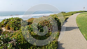 Seagrove park in Del Mar, California USA. Seaside lawn. Green grass and ocean view frome above.