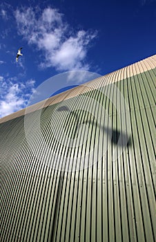 Seagul flying over hangar