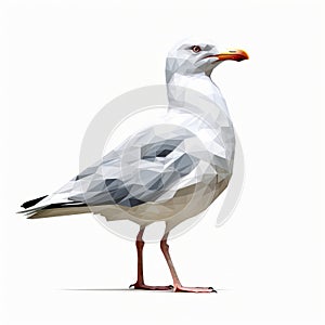 Seagull Algorithmic Art On White Background