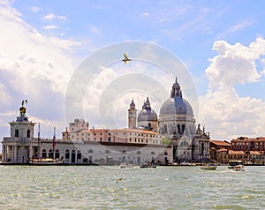 Seagull and Basilica Santa Maria della Salute, Venice, Italy