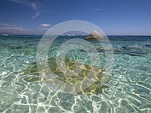 Seagull bay baia dei gabbiani beach sardinia view crystal waters photo