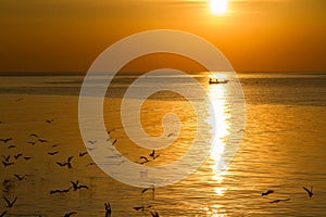 Seagull bird with amazing colorful sky and sea on twilight sunset time seascape.Nature background